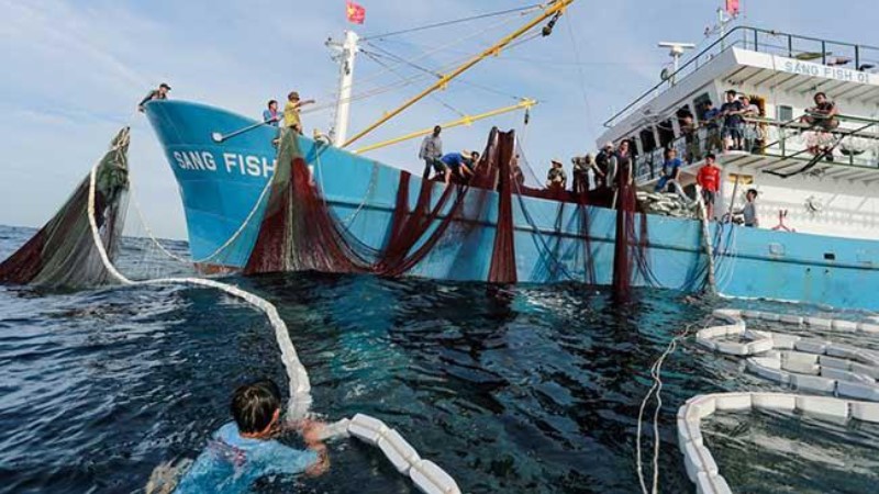 Mơ thấy giăng lưới bắt cá dự báo điềm lành